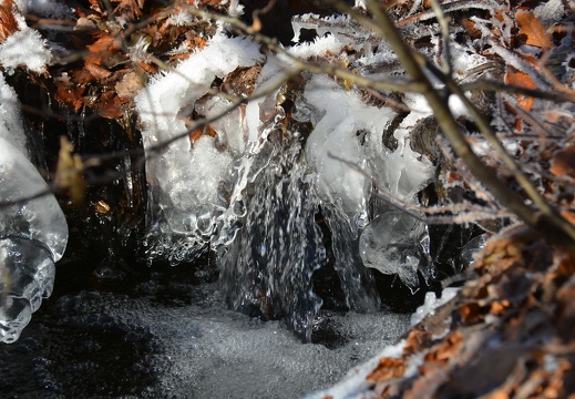 IceArt