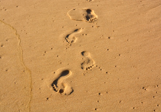 Strand - Beach