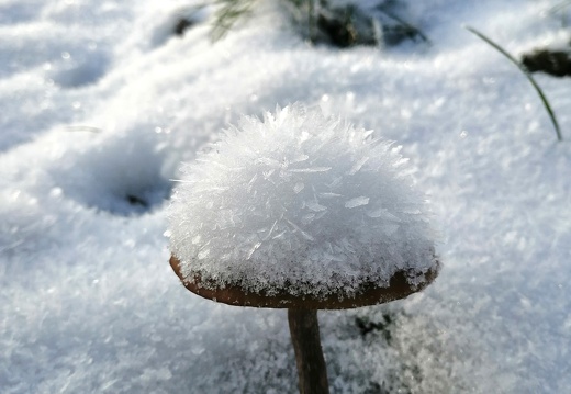 Winterlanschaft